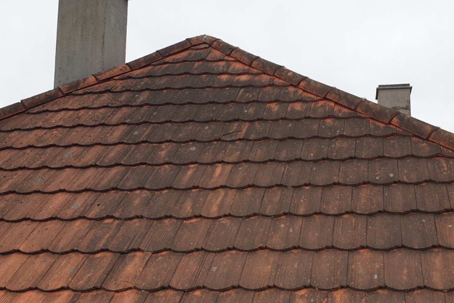 idealwash-tetomosas-homlokzatmosas-terkomosas-referencia-Névtelen terv.zip - 7